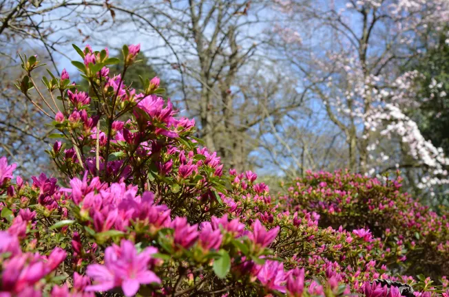 Отели рядом со станцией Гилдфорд