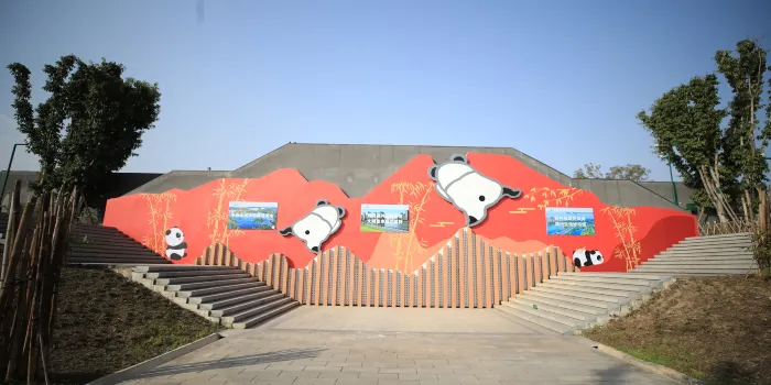 Chengdu Research Base of Giant Panda Breeding image 2