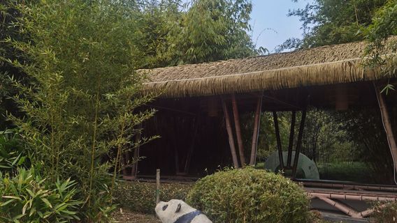 Zhulin Wetland