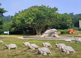 黃花山國家森林公園