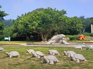 黃花山森林公園