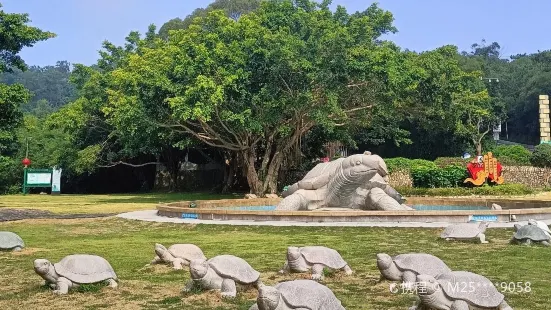 黄花山森林公園