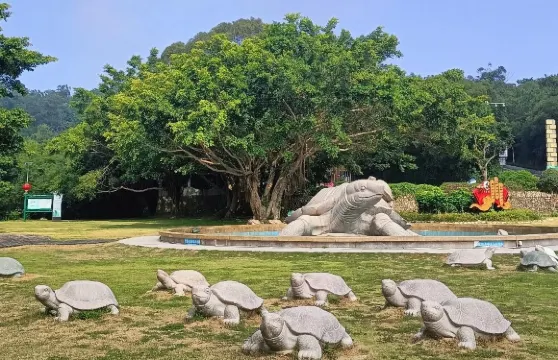 黃花山國家森林公園門票成人