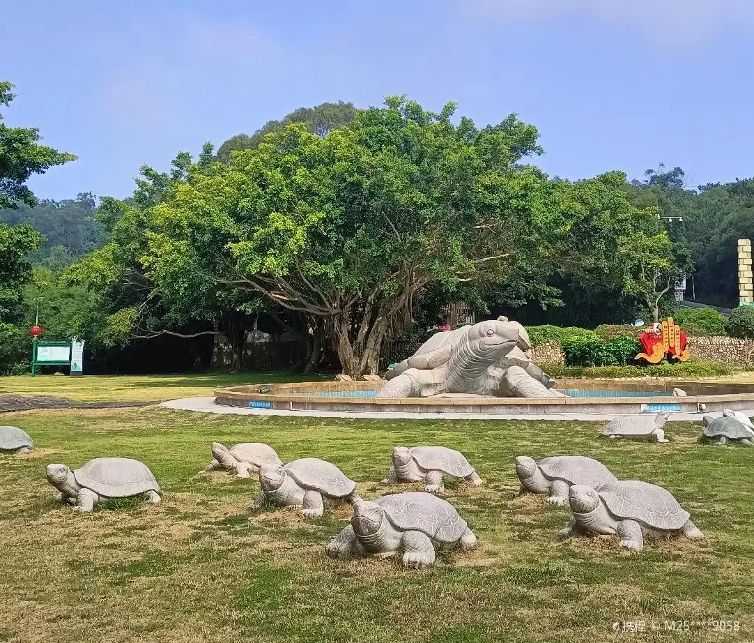 Hotels near Huanghua Mountain National Forest Park