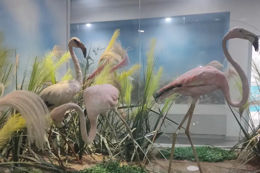 青島海浜学院
世界動物自然生態博物館