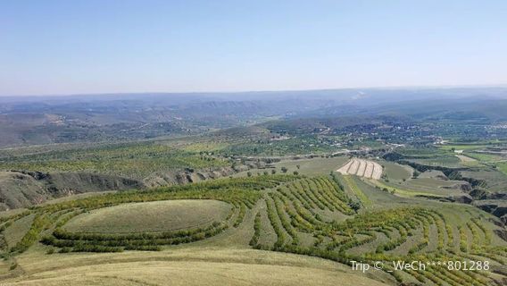 Mt. Yunwu Grassland Nature Reserve