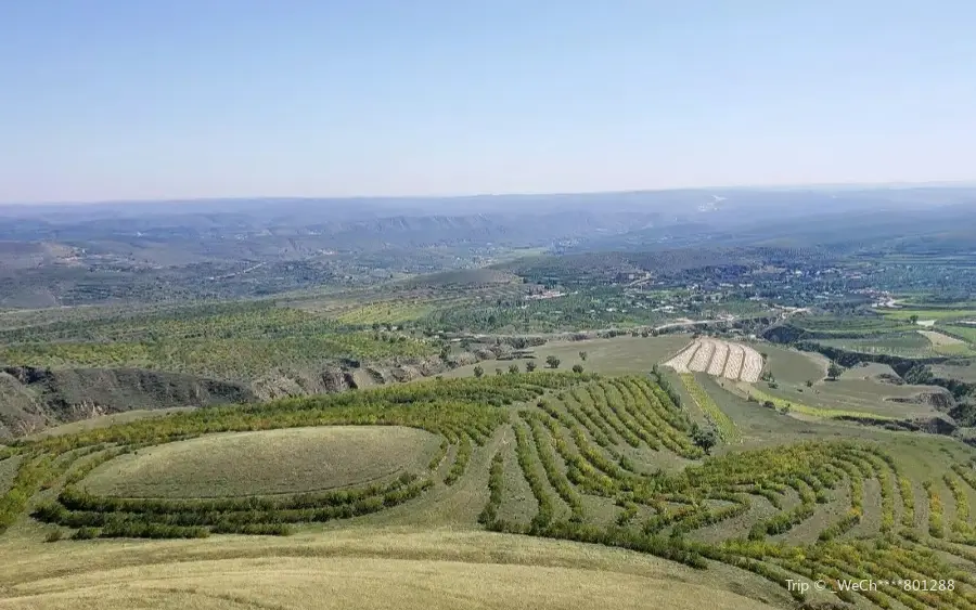 Mt. Yunwu Grassland Nature Reserve