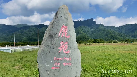 Deer Park