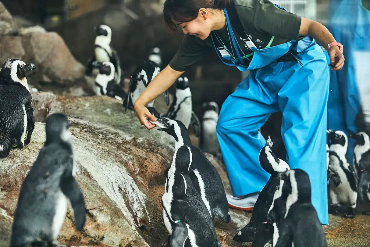 3_京都水族館