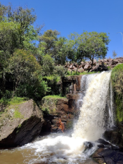 Park Araucárias