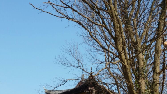 Wuhan Bafenshan Ciyun Temple Office