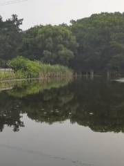 Longwei Lake in Dongling Country Park