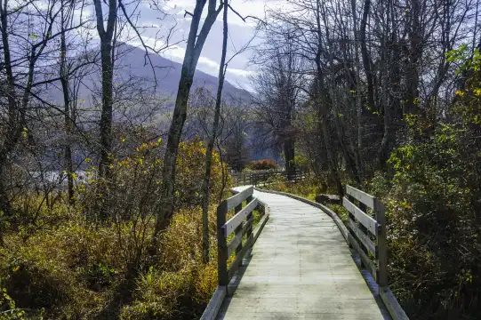 Hotel berhampiran Yudai Yunyou Road