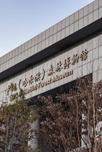 Hotels near Forest Museum