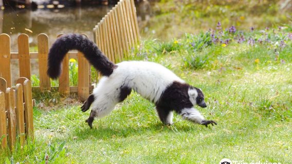 Torun Zoobotanical Garden