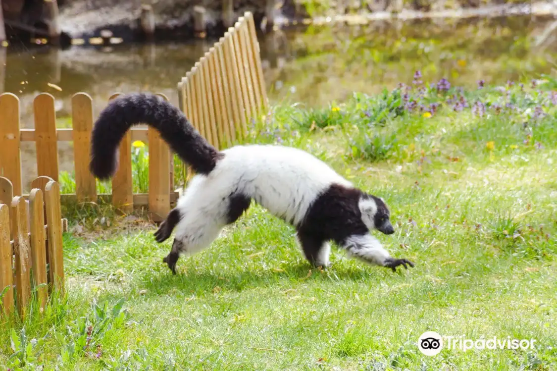 Hôtels à proximité de : Ogród Zoobotaniczny