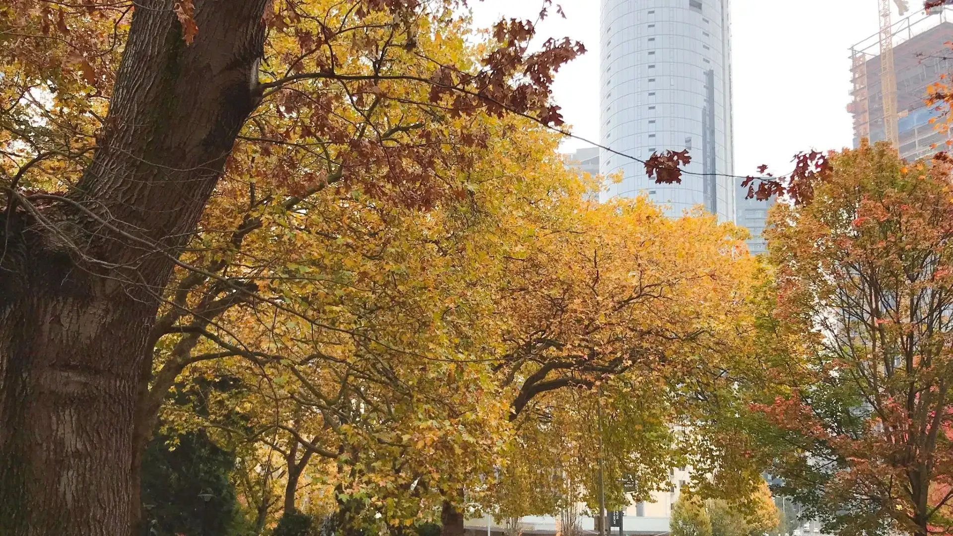 Hotels near Denny Park