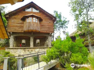 House and tree Tizoc
