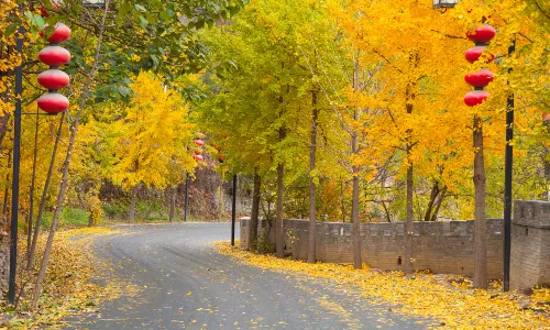 Badachu Park