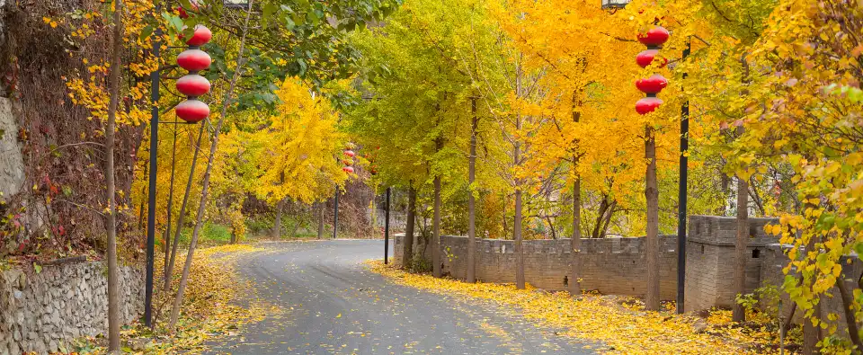 2_Badachu Park