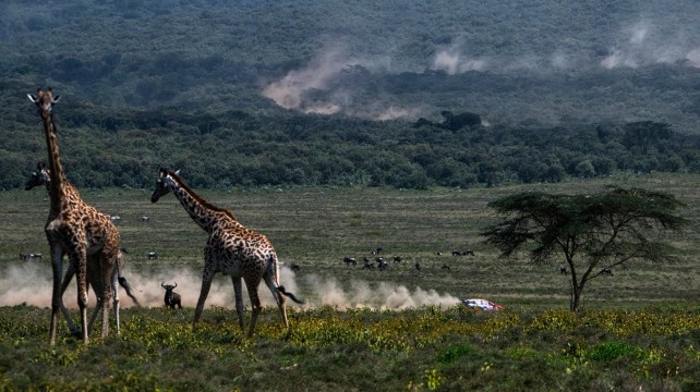 WRC · Safari Rally Kenya | Naivasha