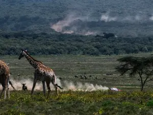 WRC · Safari Rally Kenya