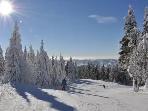 Schwarzenberg entry ski resort Hochficht