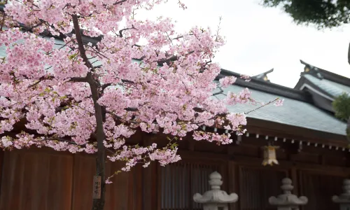 Kushida Shrine