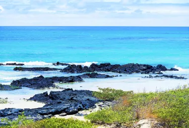 Île Isabela