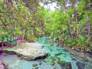 Kelly Park