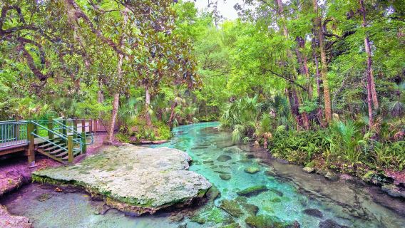Kelly Park - Rock Springs
