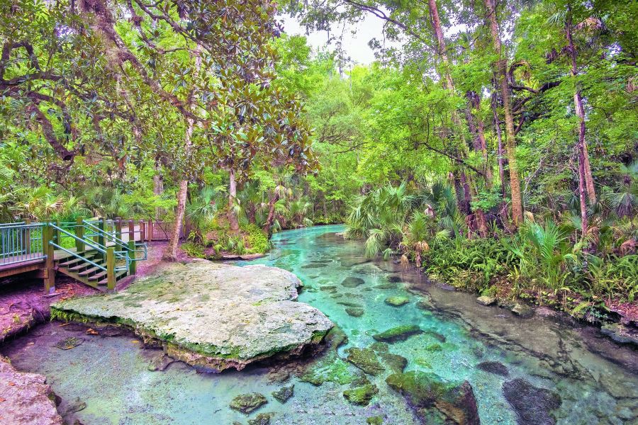 Kelly Park