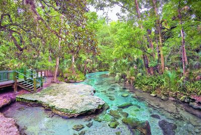 Kelly Park - Rock Springs