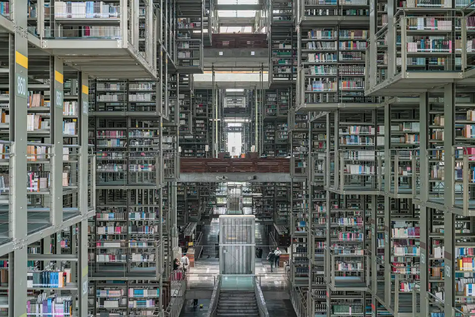5_Vasconcelos library