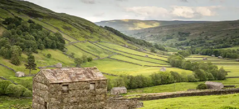 Hotels in Leyburn
