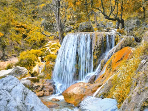 Tehri Garhwal
