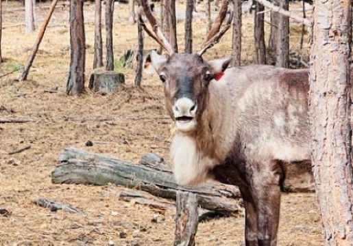 qian shao xun lu yuan