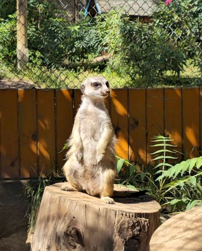 Antalya Zoo