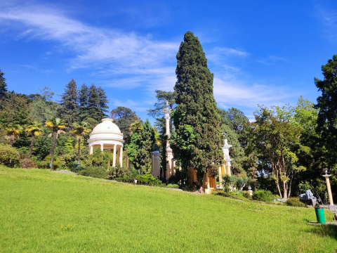 Сочи: популярные Цветочные пейзажи