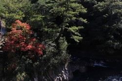 우링 농장