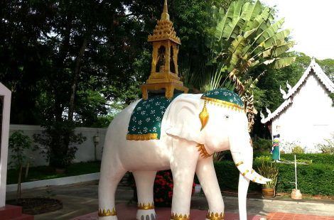 Wat Phra kaew dontao Suchadara