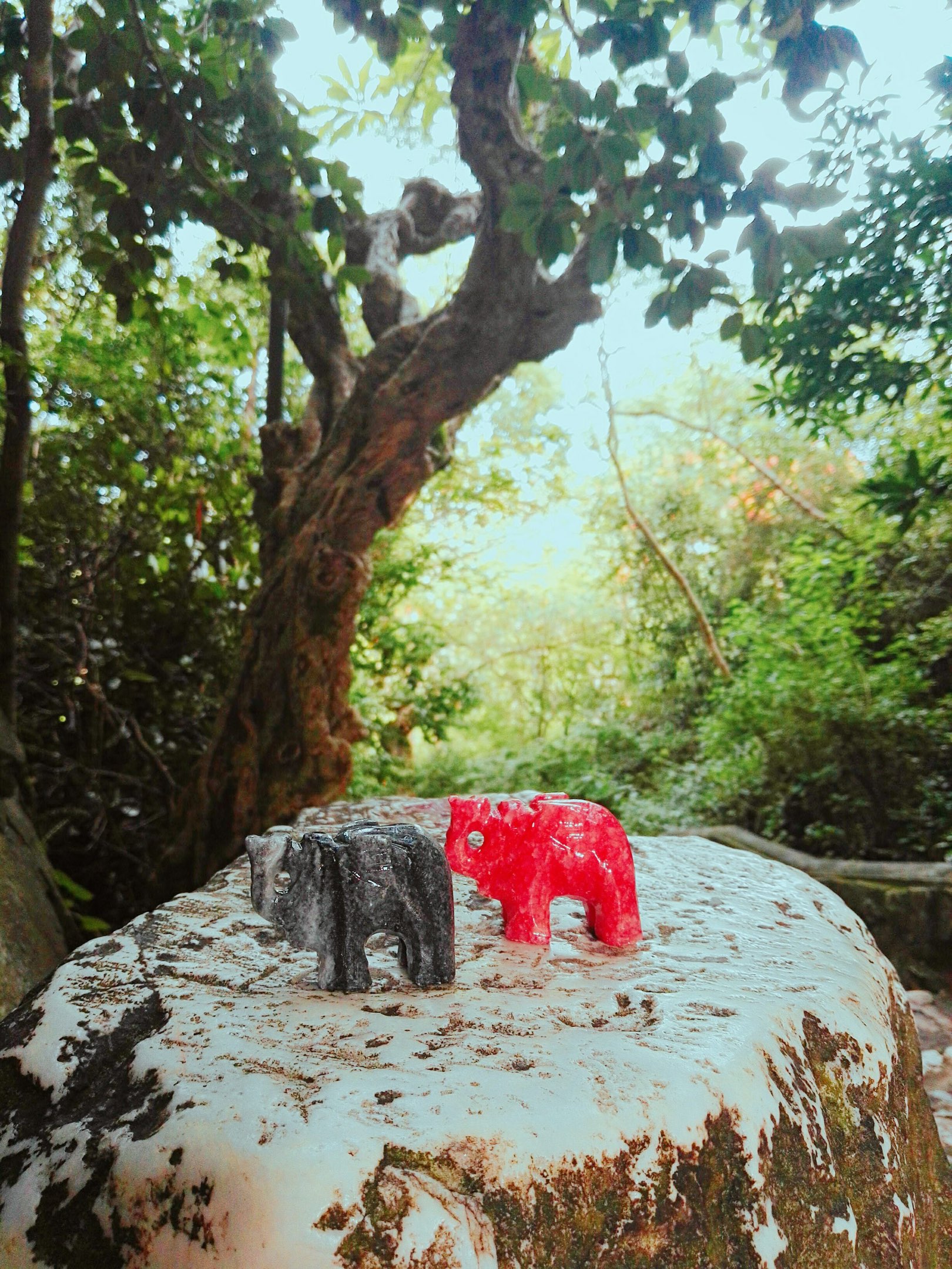 0103k2224mdoal6px083B.jpg?proc