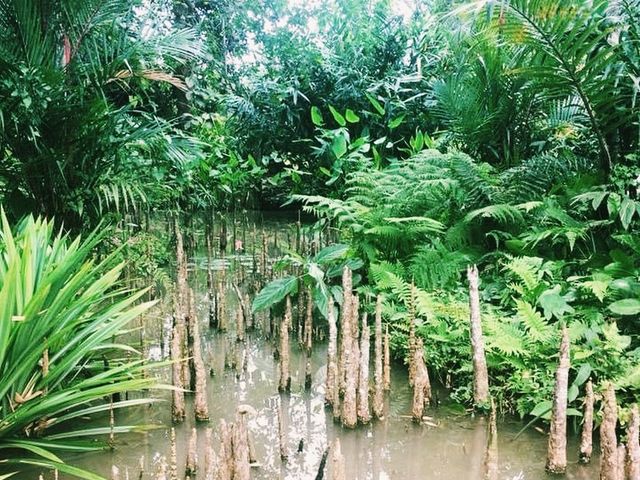 Hike to the Botanical Garden