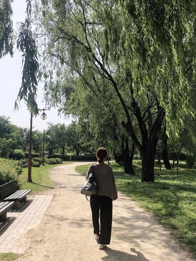 상수 카페, 콜린