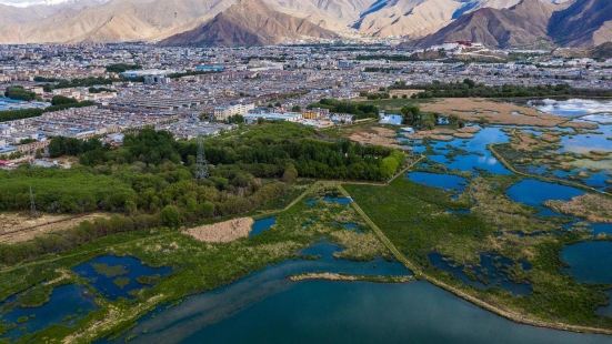 拉鲁湿地国家级自然保护区位于西藏自治区首府拉萨市市区西北部，