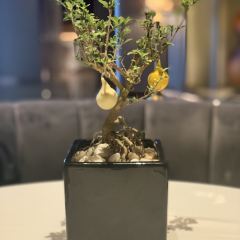 Silver pot ảnh của người dùng