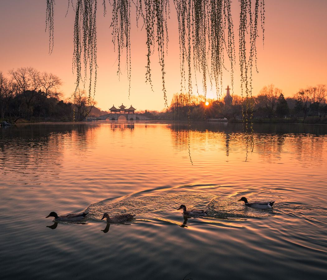 Slender West Lake Scenic Area