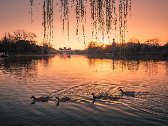 Slender West Lake