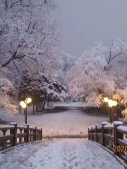 永樂公園