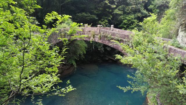 과합삼경